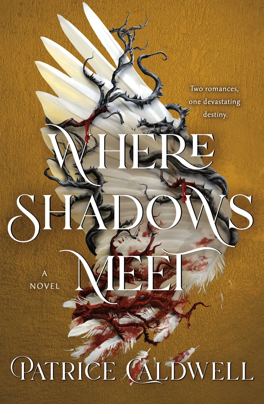 Where Shadows Meet by Patrice Caldwell Free PDF Download