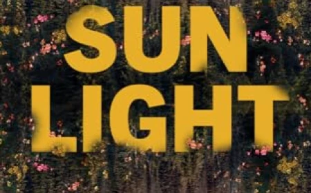 Sunlight by Devney Perry Free PDF Download