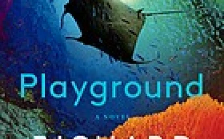 Playground by Richard Powers Free PDF Download