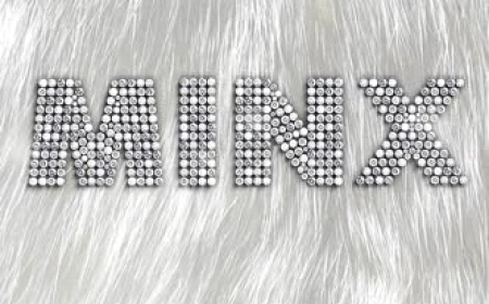 Minx by Sophie Lark Free PDF Download