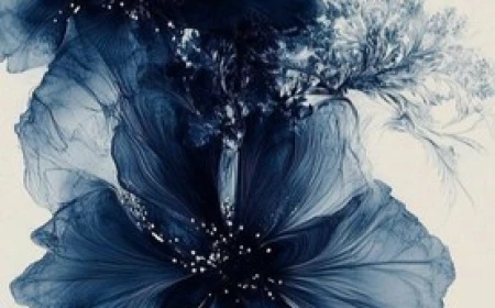 Powerful: A Powerless Novella by Lauren Roberts Free PDF Download